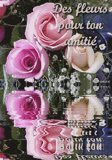 .des fleurs pour.....